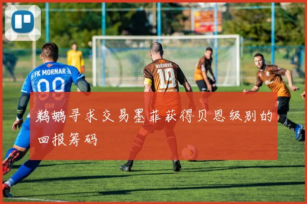 鹈鹕寻求交易墨菲获得贝恩级别的回报筹码