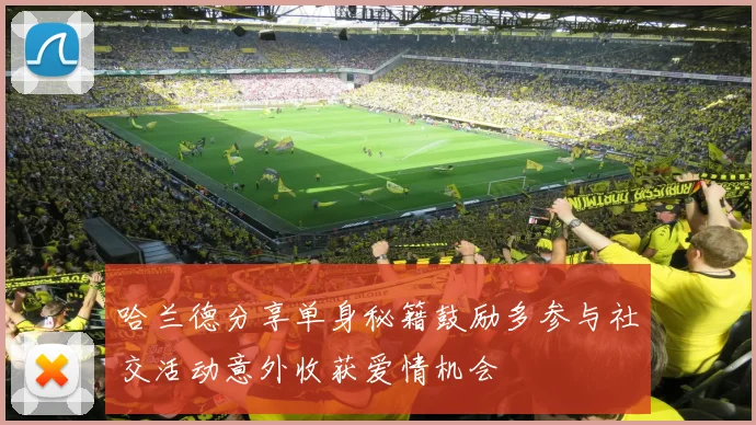 哈兰德分享单身秘籍鼓励多参与社交活动意外收获爱情机会