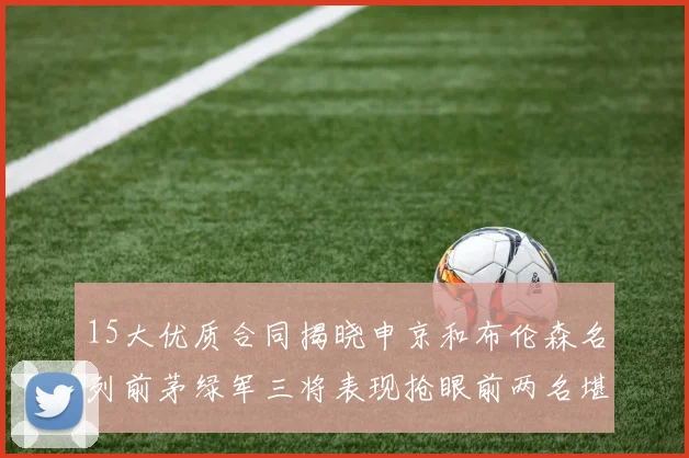 15大优质合同揭晓申京和布伦森名列前茅绿军三将表现抢眼前两名堪称传奇