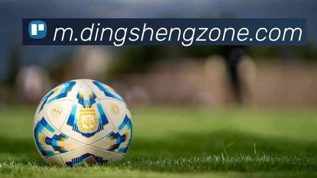 鼎盛棋牌平台生态图